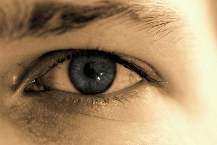 Cejas-portada